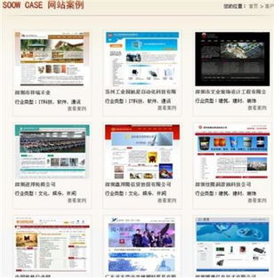 專業(yè)網(wǎng)站建設(shè) 設(shè)計、制作與選擇公司全指南